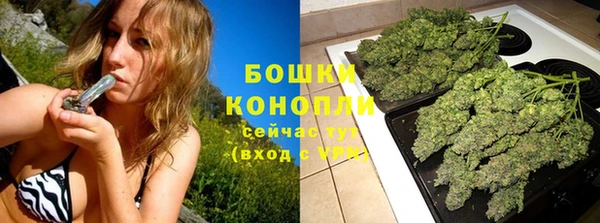 соль курить ск Горно-Алтайск