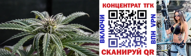 ТГК концентрат  Купить где  Спасск-Рязанский 